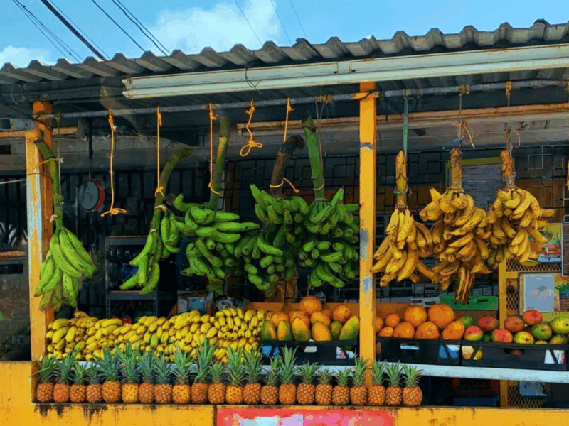 colorful fruit stand